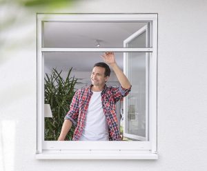Insektenschutz für Fenster